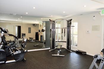 a gym with cardio equipment and weights on the floor